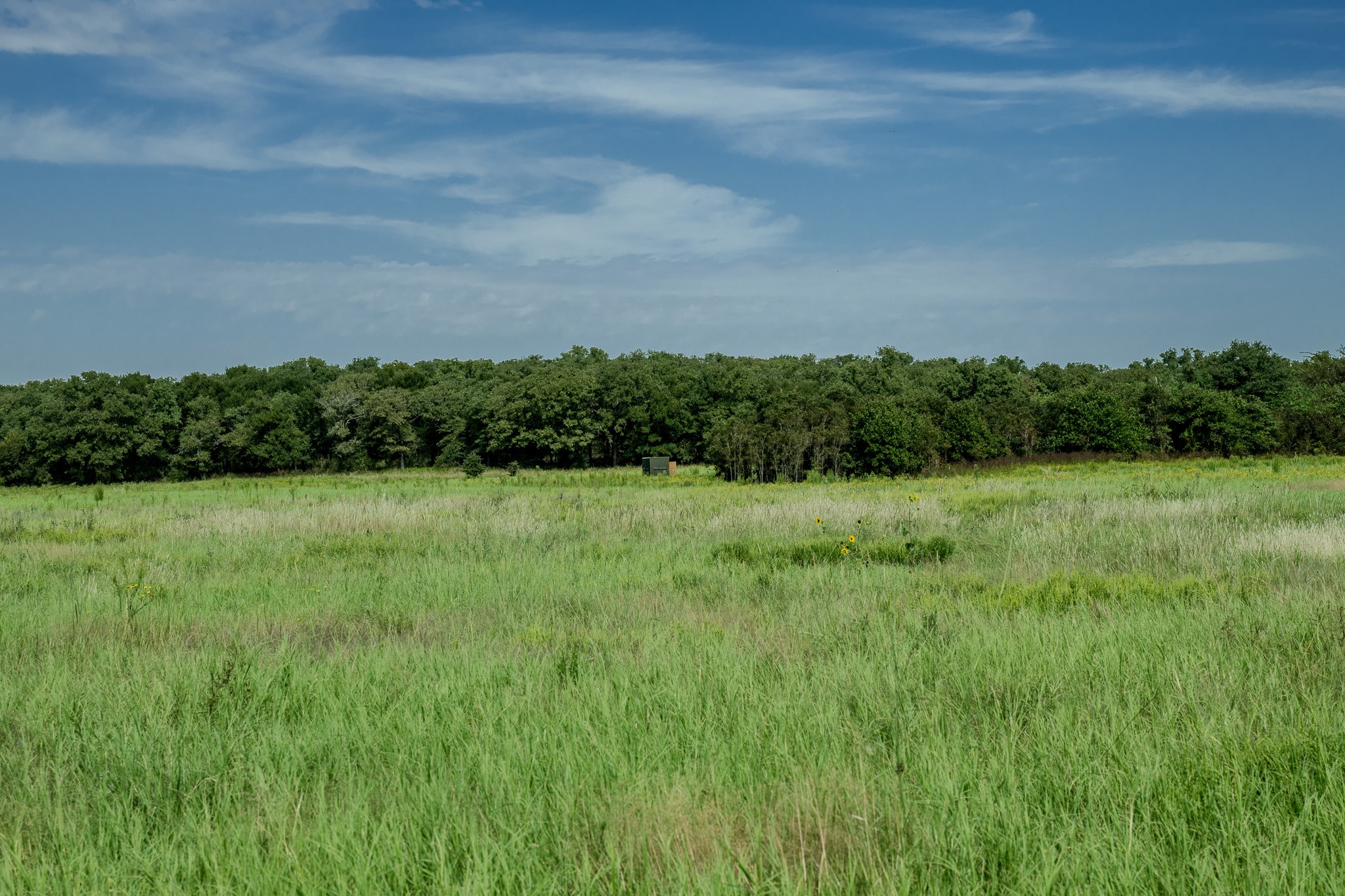 0001 W Pleasant Valley Road Henrietta TX 76230