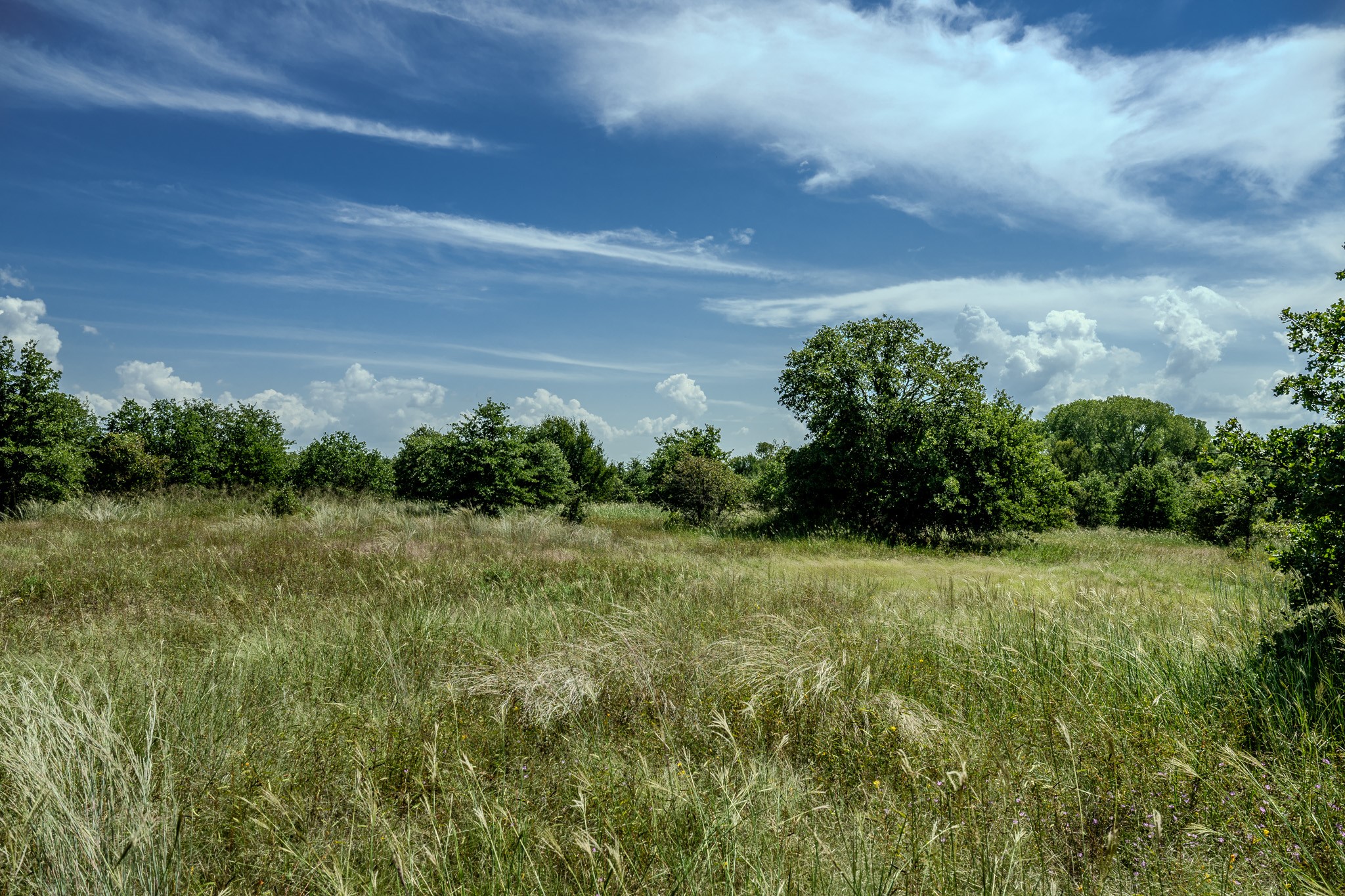 0001 W Pleasant Valley Road Henrietta TX 76230