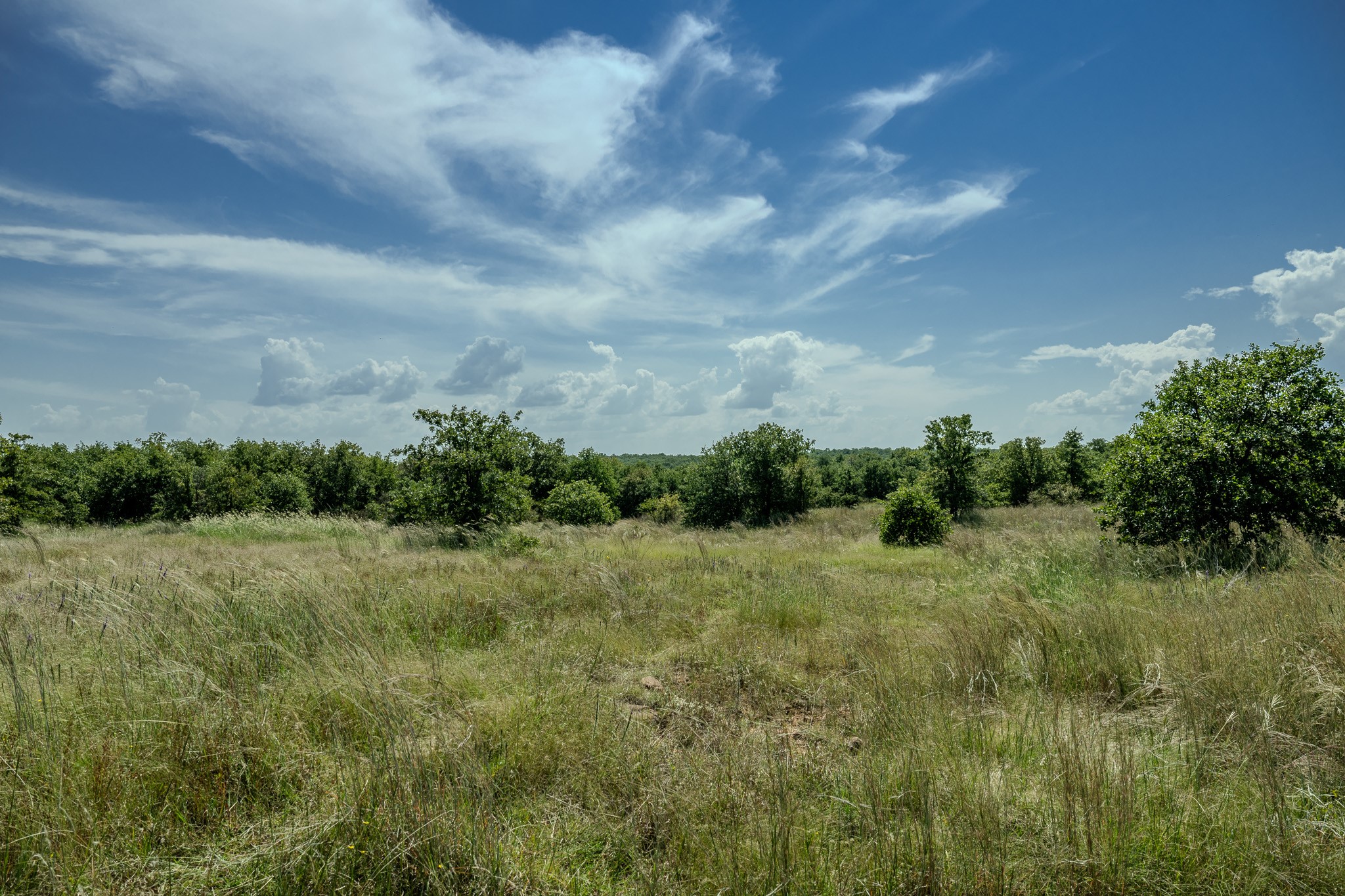 0001 W Pleasant Valley Road Henrietta TX 76230