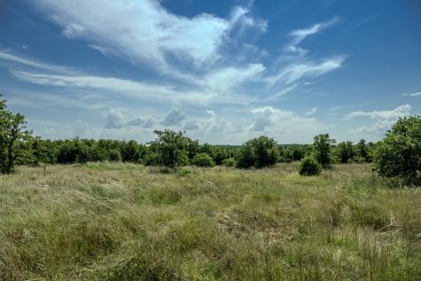 0001 W Pleasant Valley Road Henrietta TX 76230