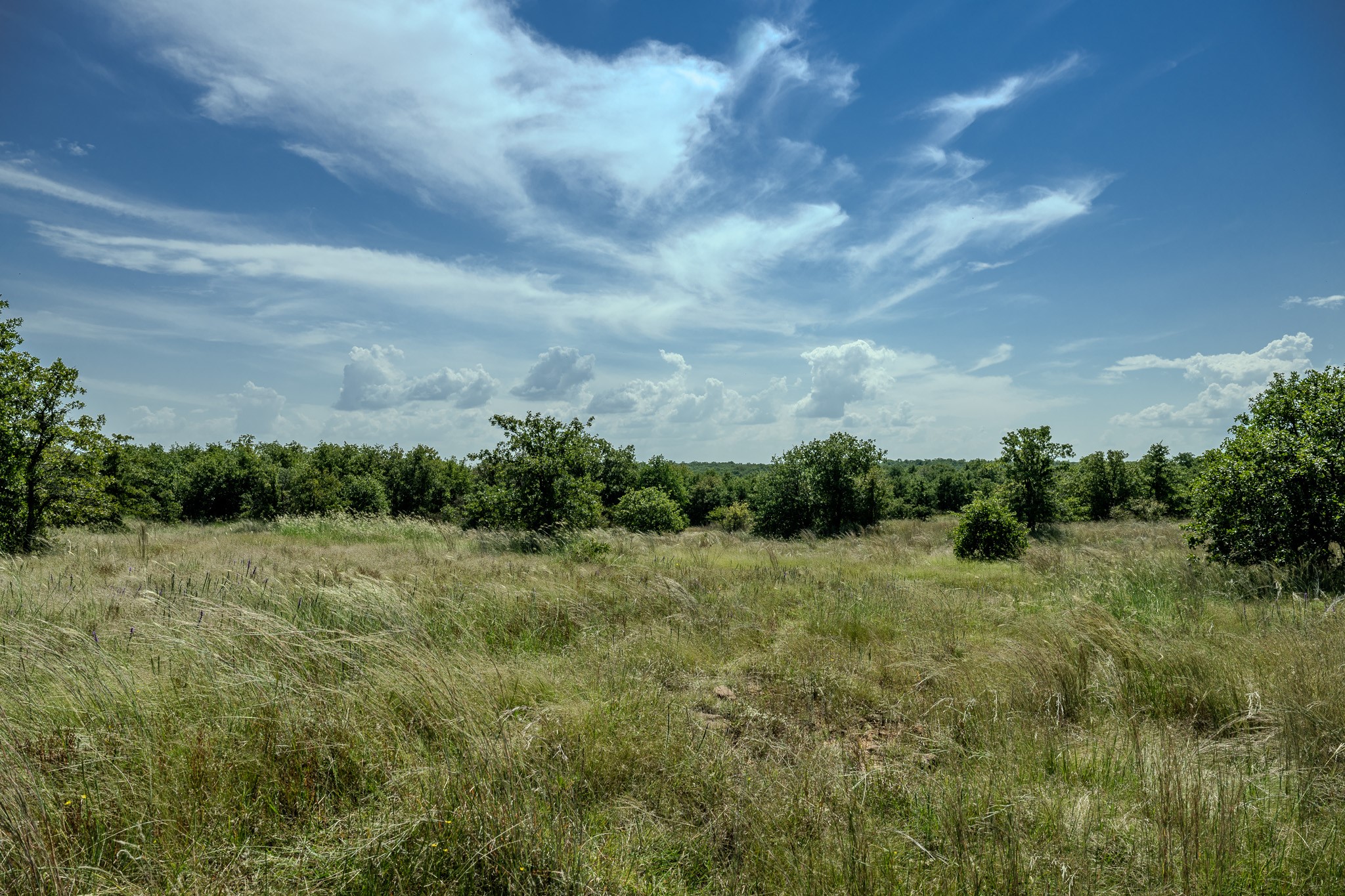 0001 W Pleasant Valley Road Henrietta TX 76230