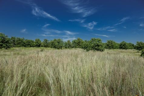 0001 W Pleasant Valley Road Henrietta TX 76230