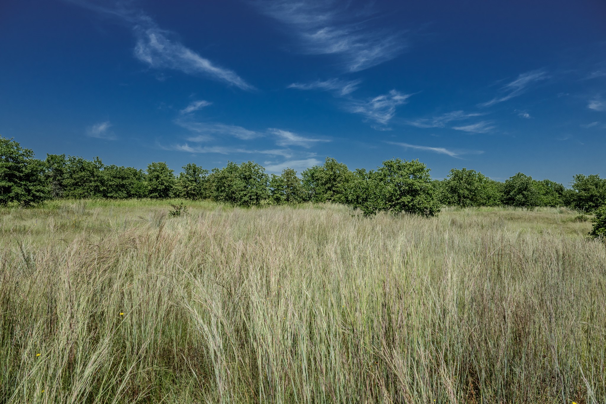 0001 W Pleasant Valley Road Henrietta TX 76230