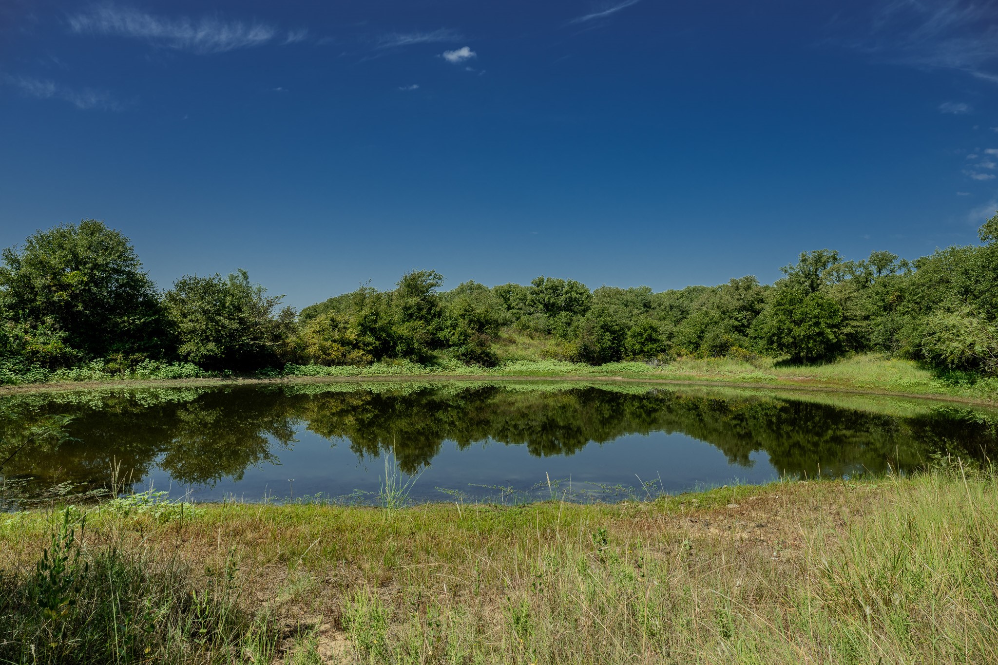 0001 W Pleasant Valley Road Henrietta TX 76230
