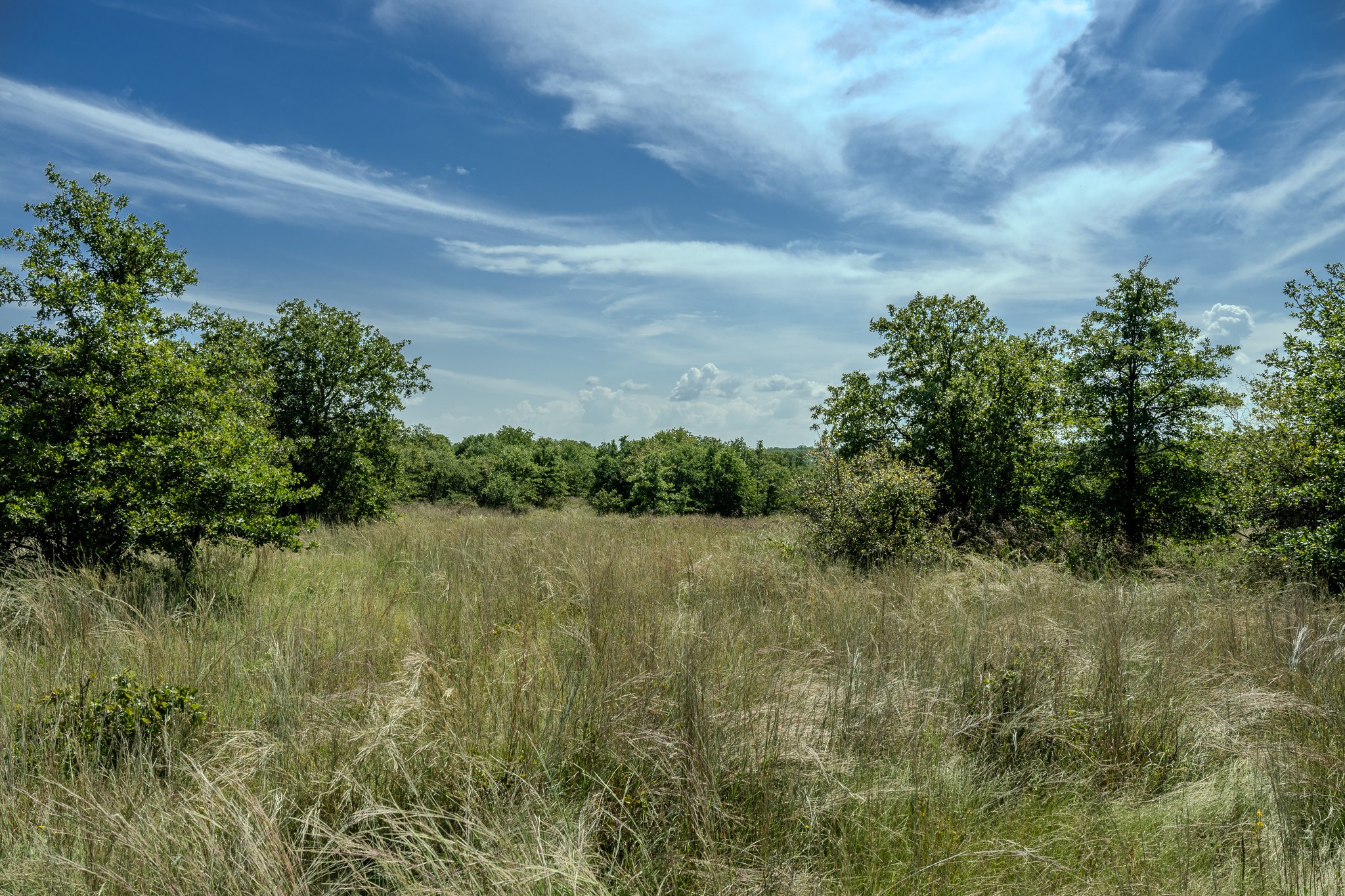 0001 W Pleasant Valley Road Henrietta TX 76230