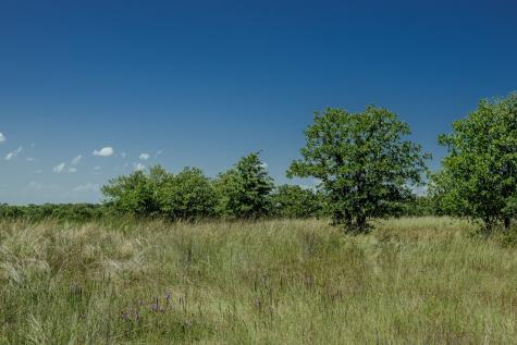 0001 W Pleasant Valley Road Henrietta TX 76230