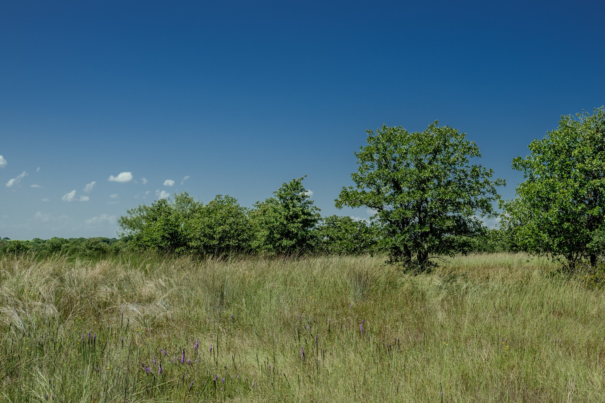 0001 W Pleasant Valley Road Henrietta TX 76230