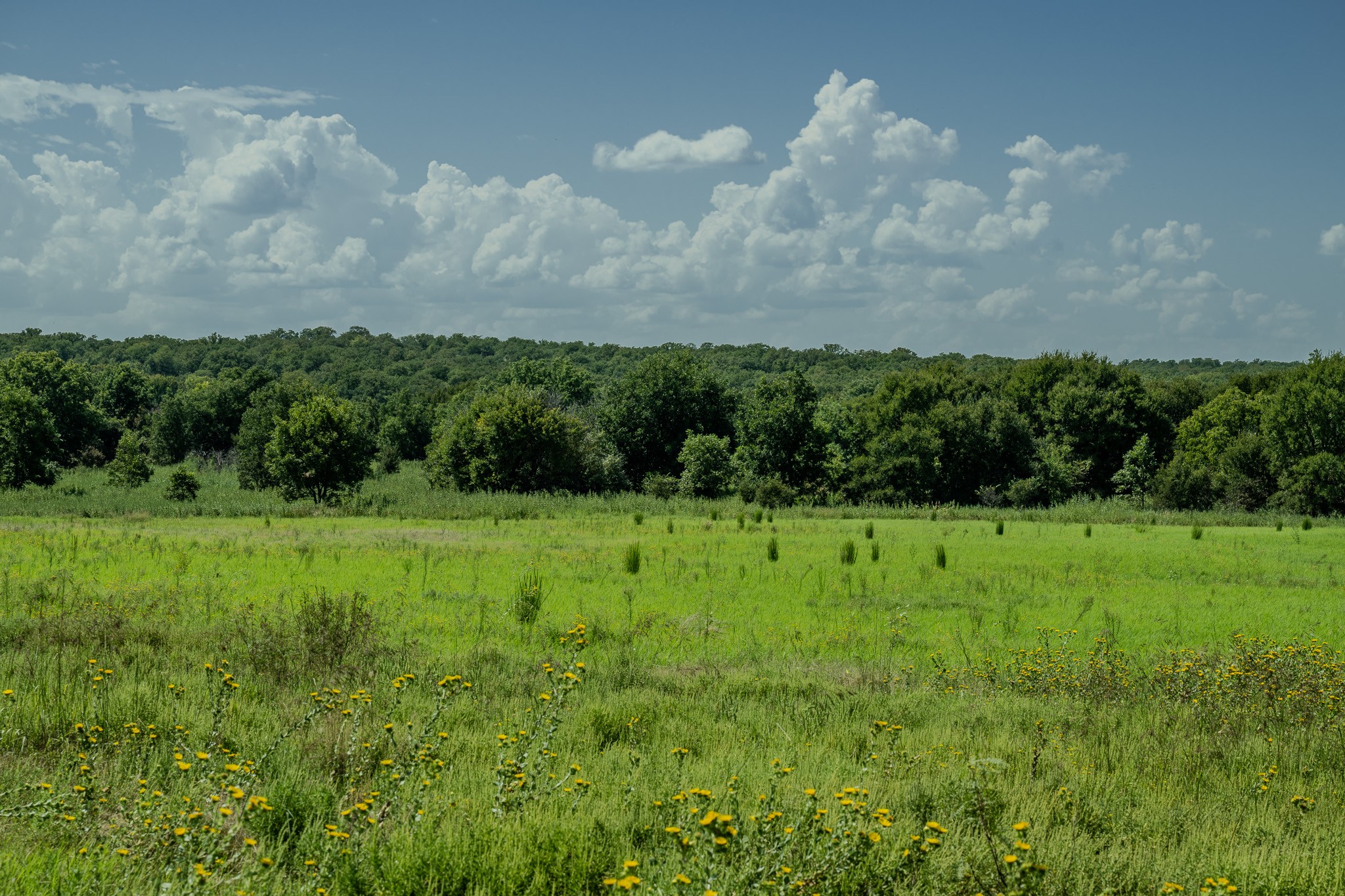 0001 W Pleasant Valley Road Henrietta TX 76230