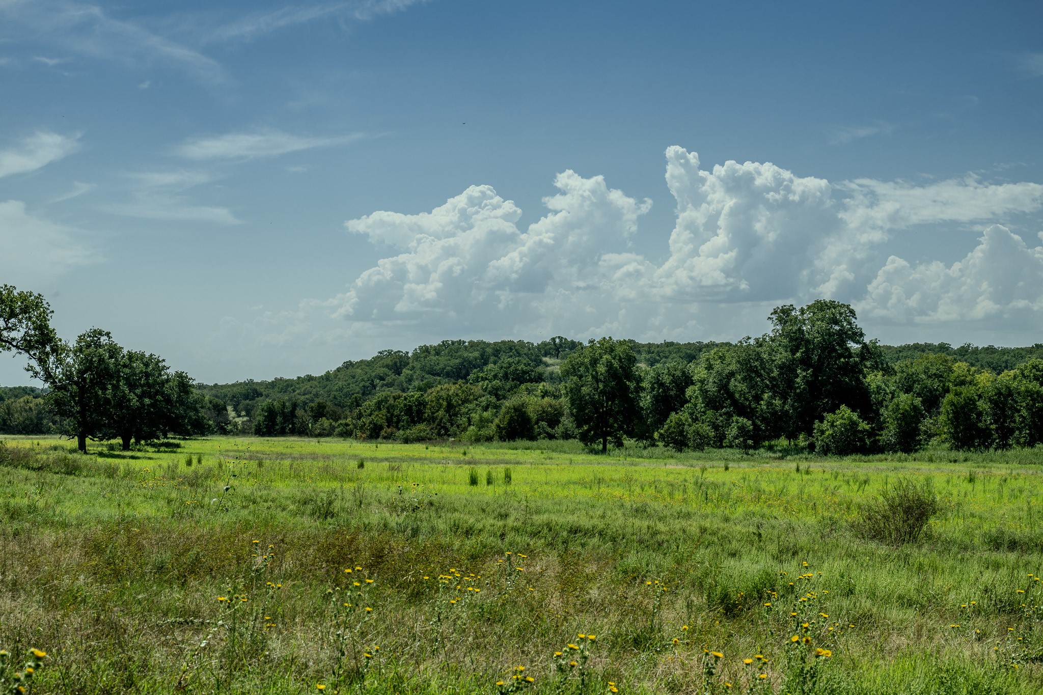 0001 W Pleasant Valley Road Henrietta TX 76230