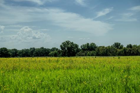 0001 W Pleasant Valley Road Henrietta TX 76230