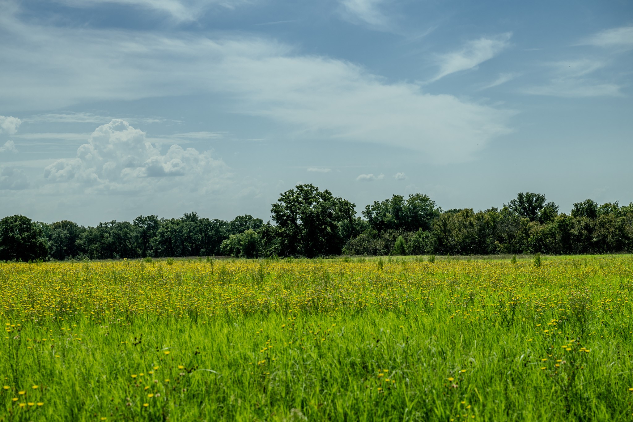 0001 W Pleasant Valley Road Henrietta TX 76230