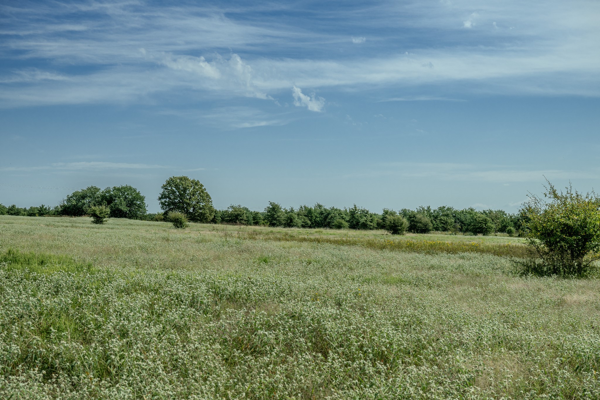 0001 W Pleasant Valley Road Henrietta TX 76230