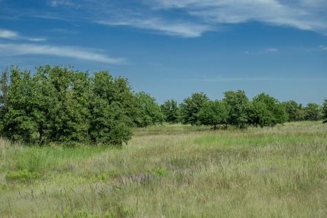 01 W Pleasant Valley Road Henrietta TX 76230