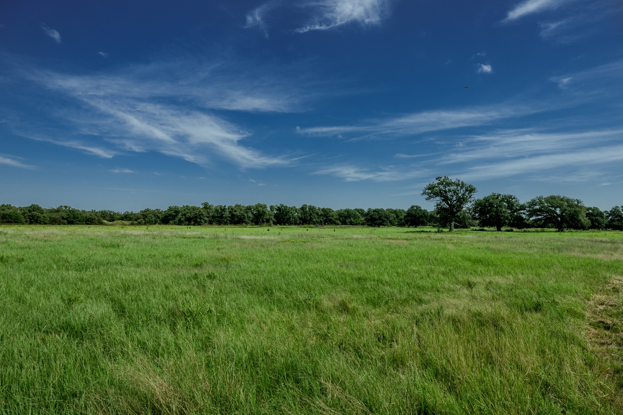 0001 W Pleasant Valley Road Henrietta TX 76230