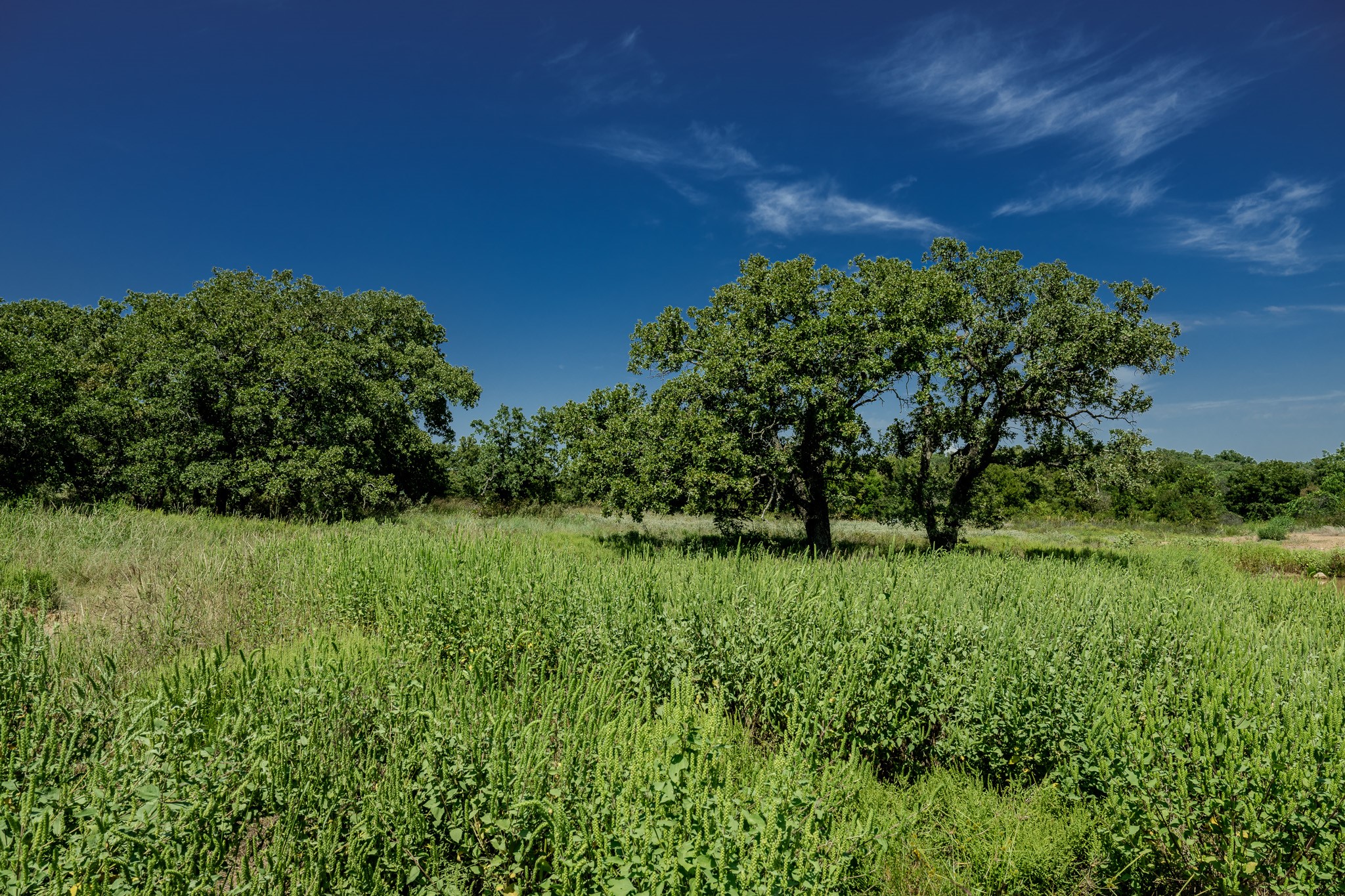 0001 W Pleasant Valley Road Henrietta TX 76230