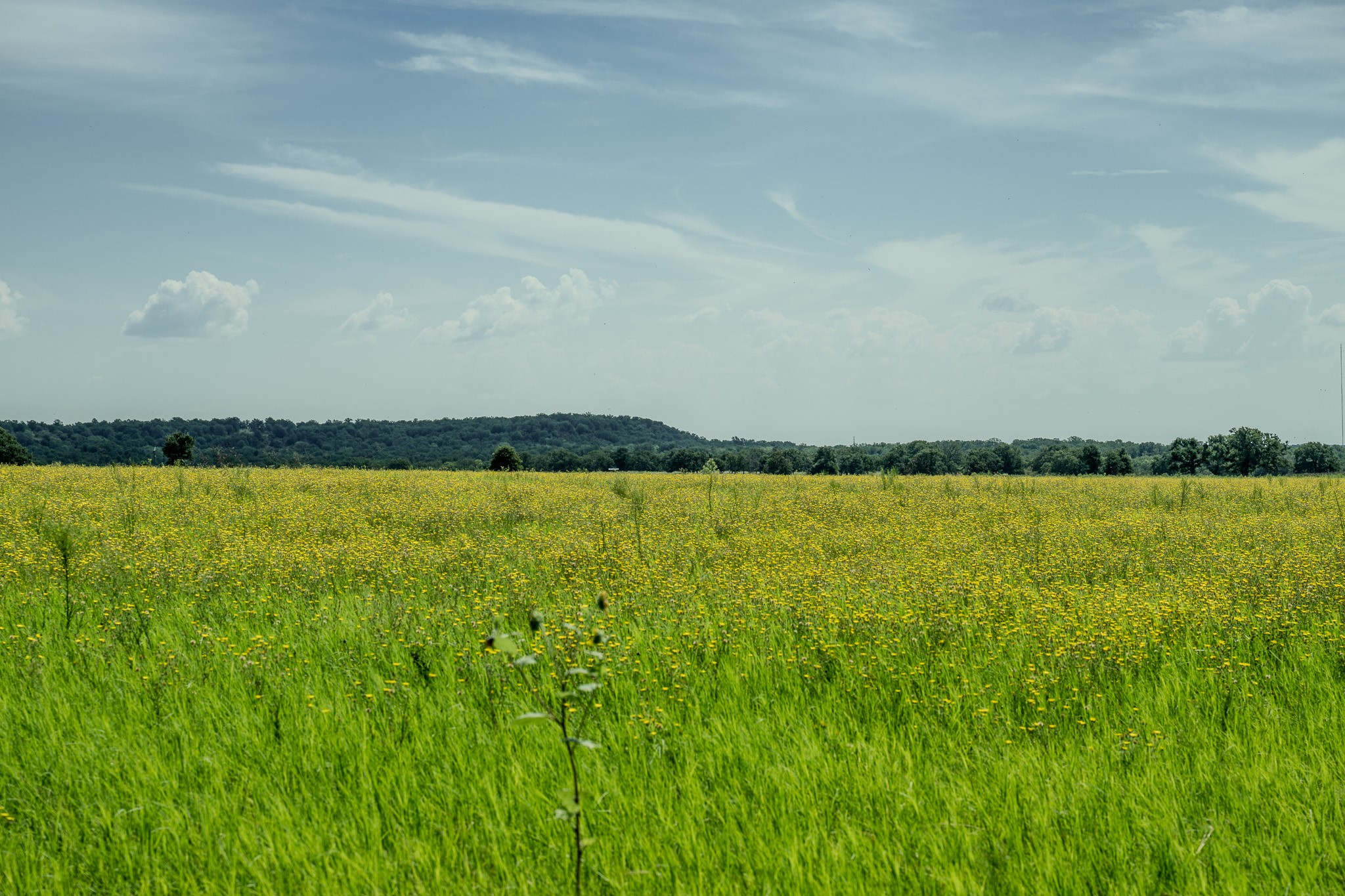 0001 W Pleasant Valley Road Henrietta TX 76230
