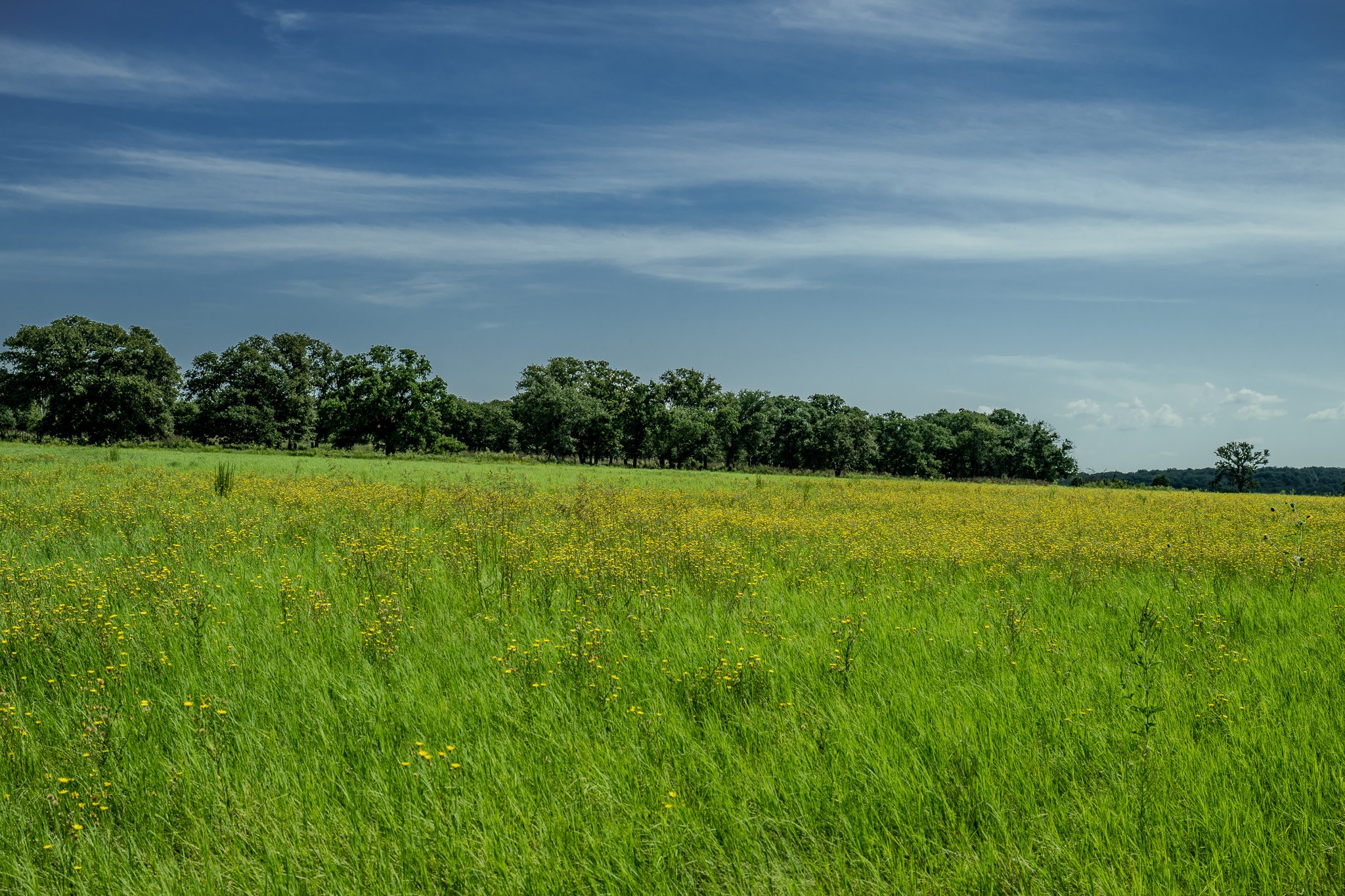 0001 W Pleasant Valley Road Henrietta TX 76230