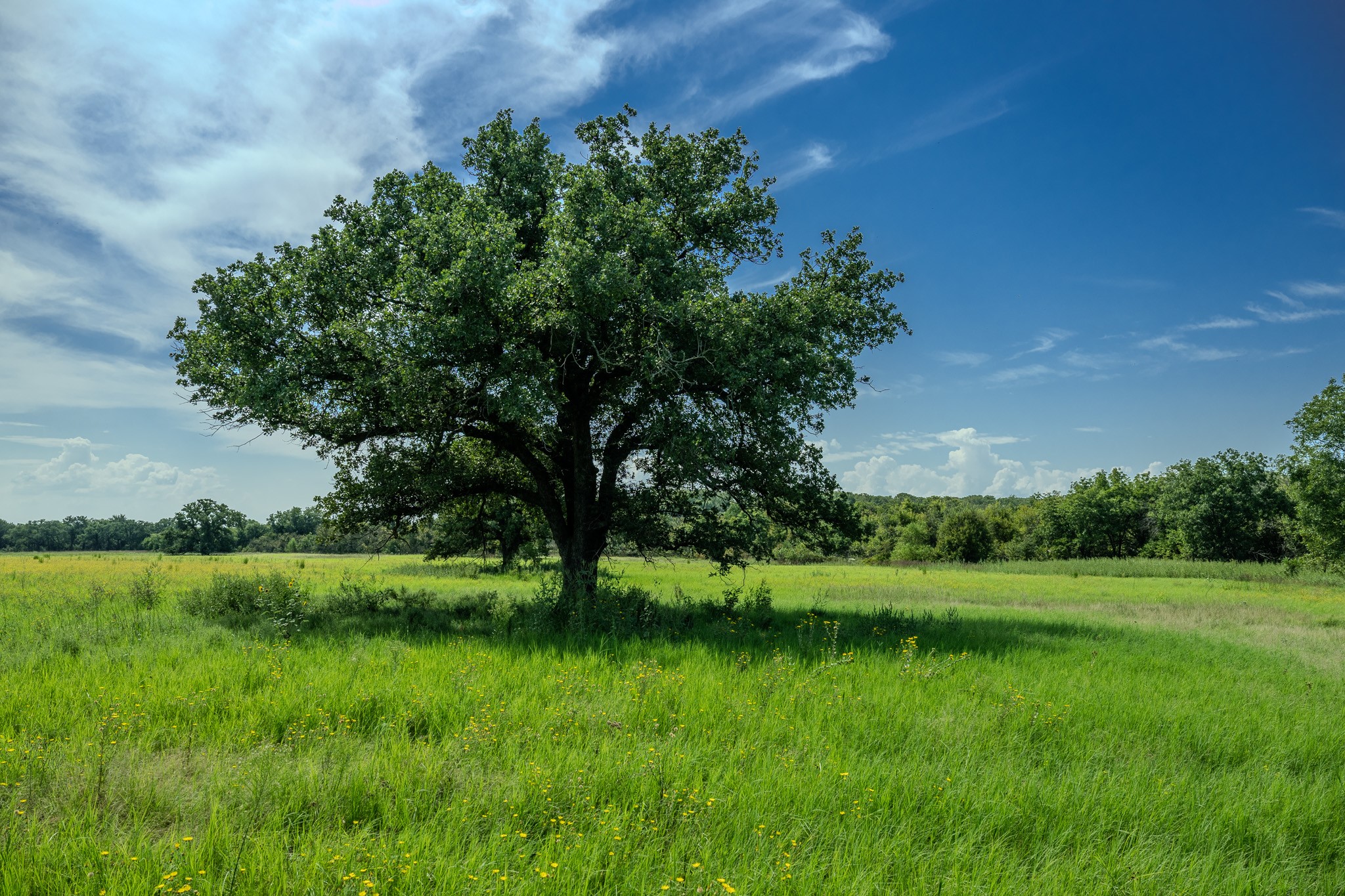 0001 W Pleasant Valley Road Henrietta TX 76230