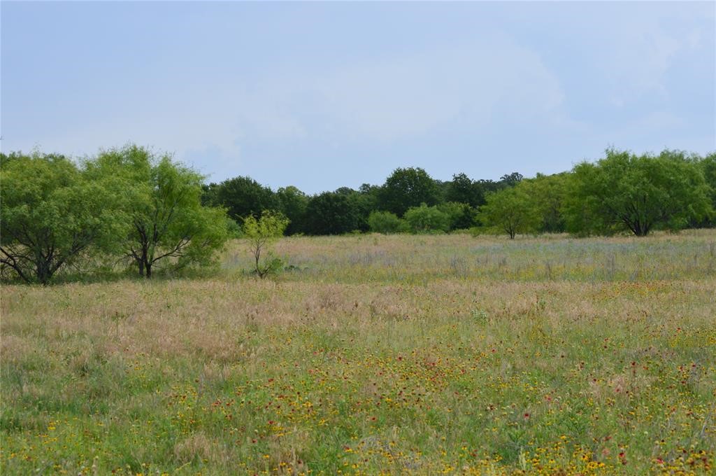 000 Co Road 400 Carbon TX 76435