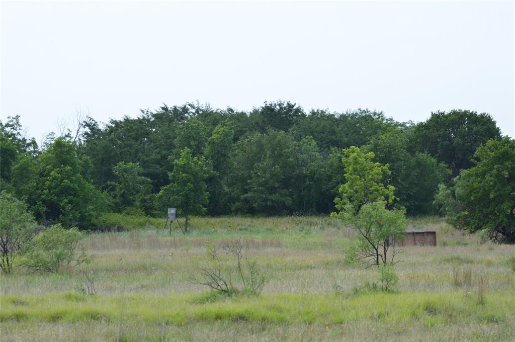 000 Co Road 400 Carbon TX 76435