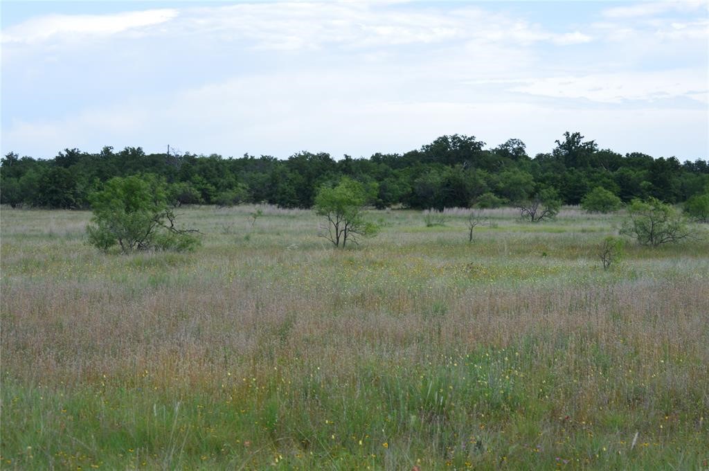 000 Co Road 400 Carbon TX 76435