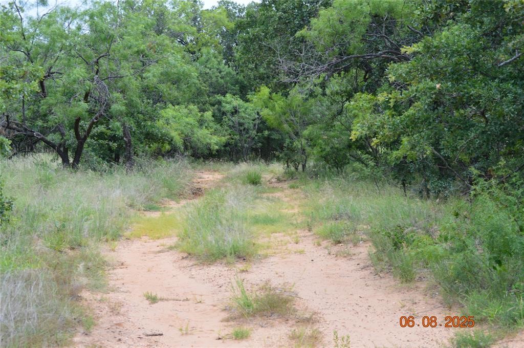 000 Co Road 400 Carbon TX 76435