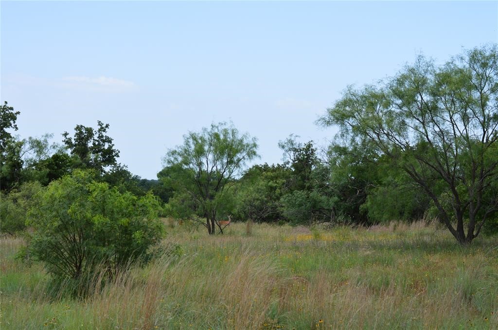 000 Co Road 400 Carbon TX 76435