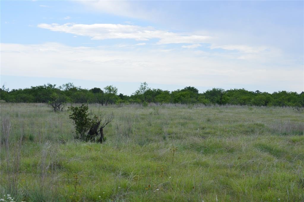 000 Co Road 400 Carbon TX 76435