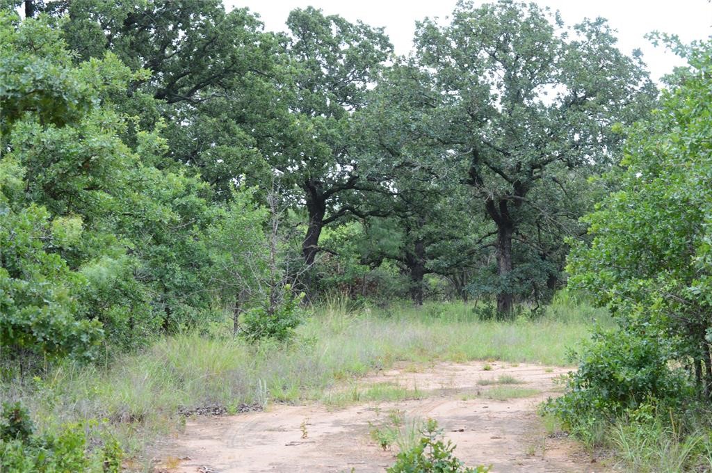 000 Co Road 400 Carbon TX 76435