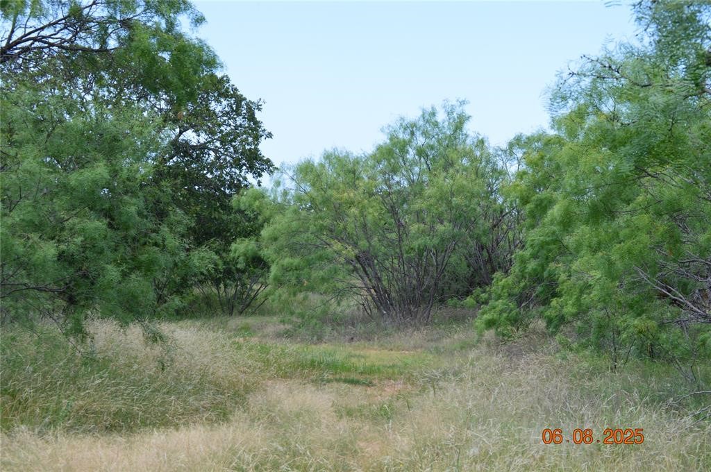 000 Co Road 400 Carbon TX 76435