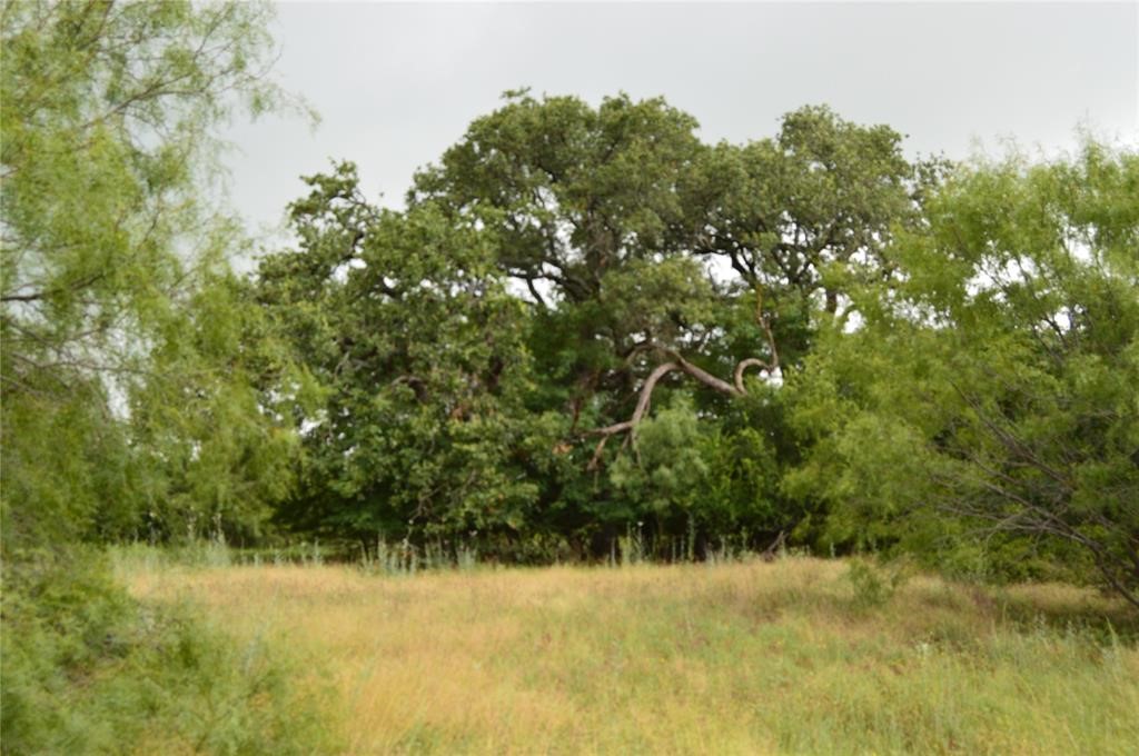 000 Co Road 400 Carbon TX 76435