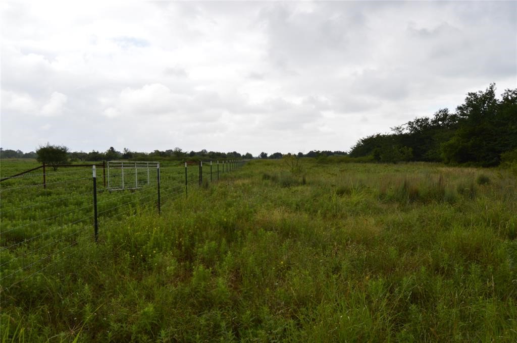 000 Co Road 400 Carbon TX 76435