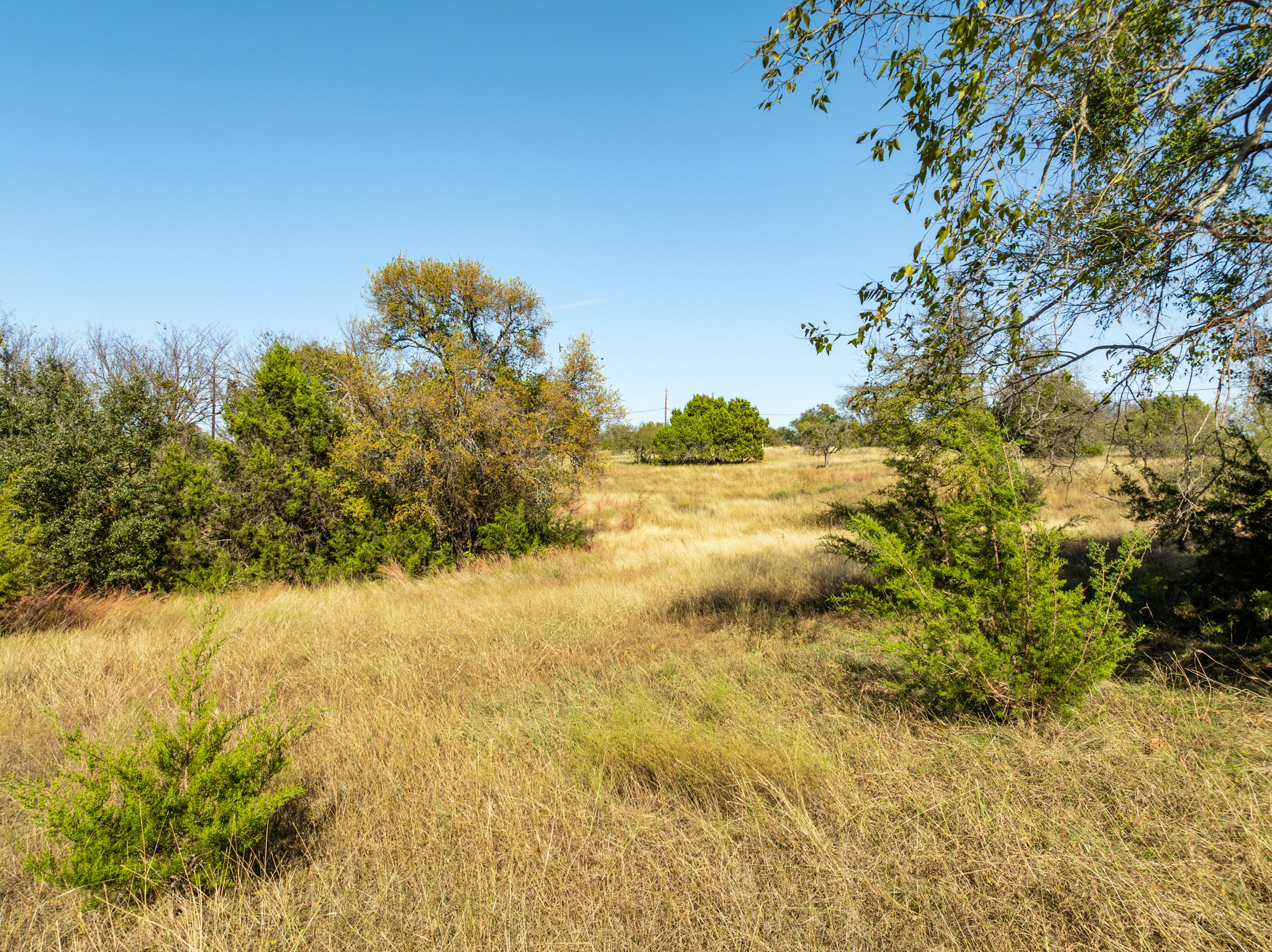 42017 Preston Trail Whitney TX 76692