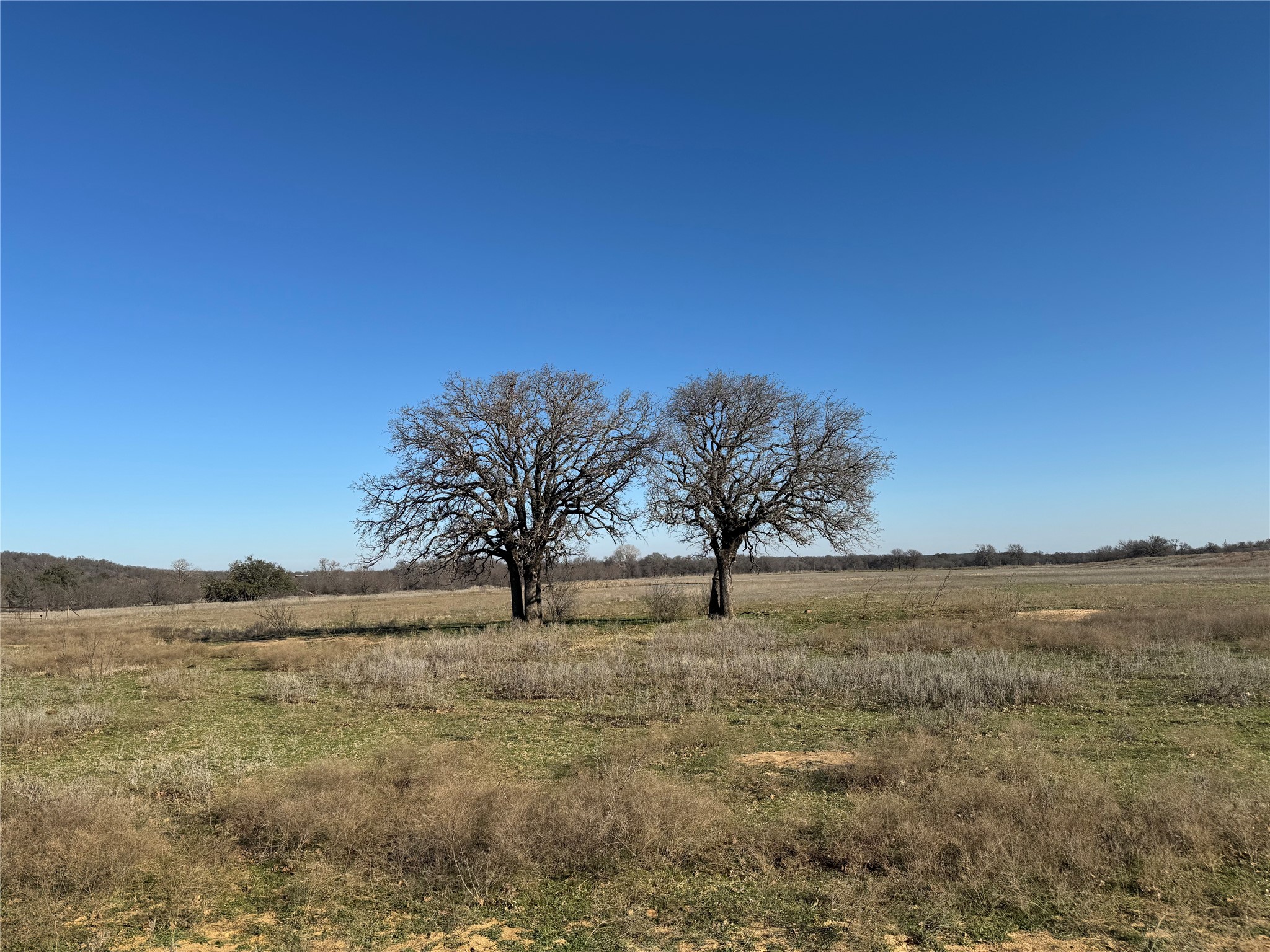 19514 S Fm 4 Lipan TX 76462