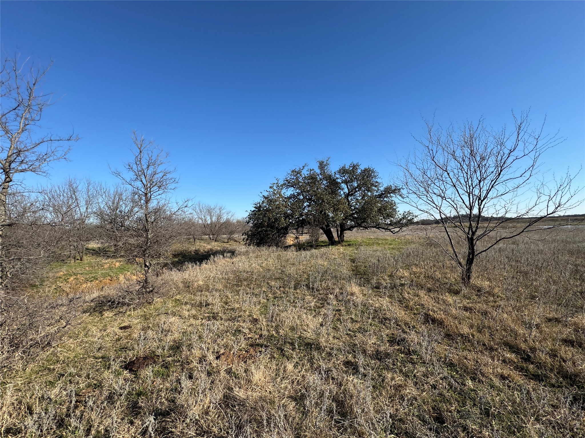 19514 S Fm 4 Lipan TX 76462