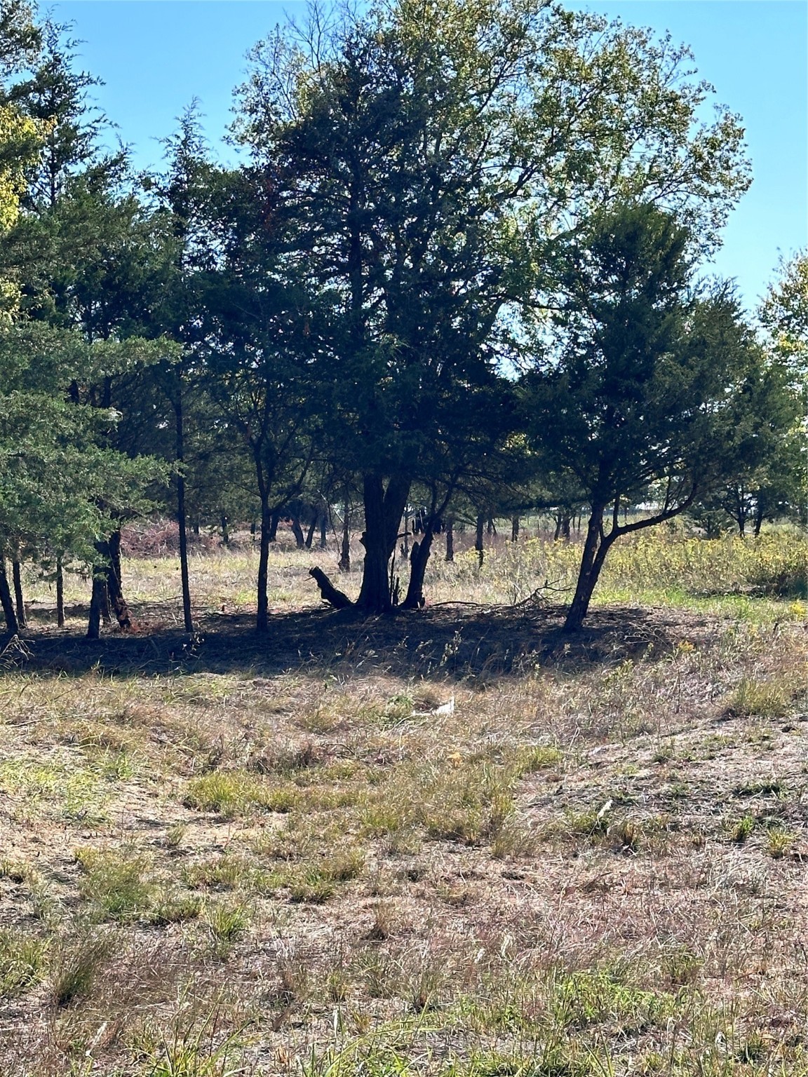 1146 County Road 2175 Klondike TX 75448