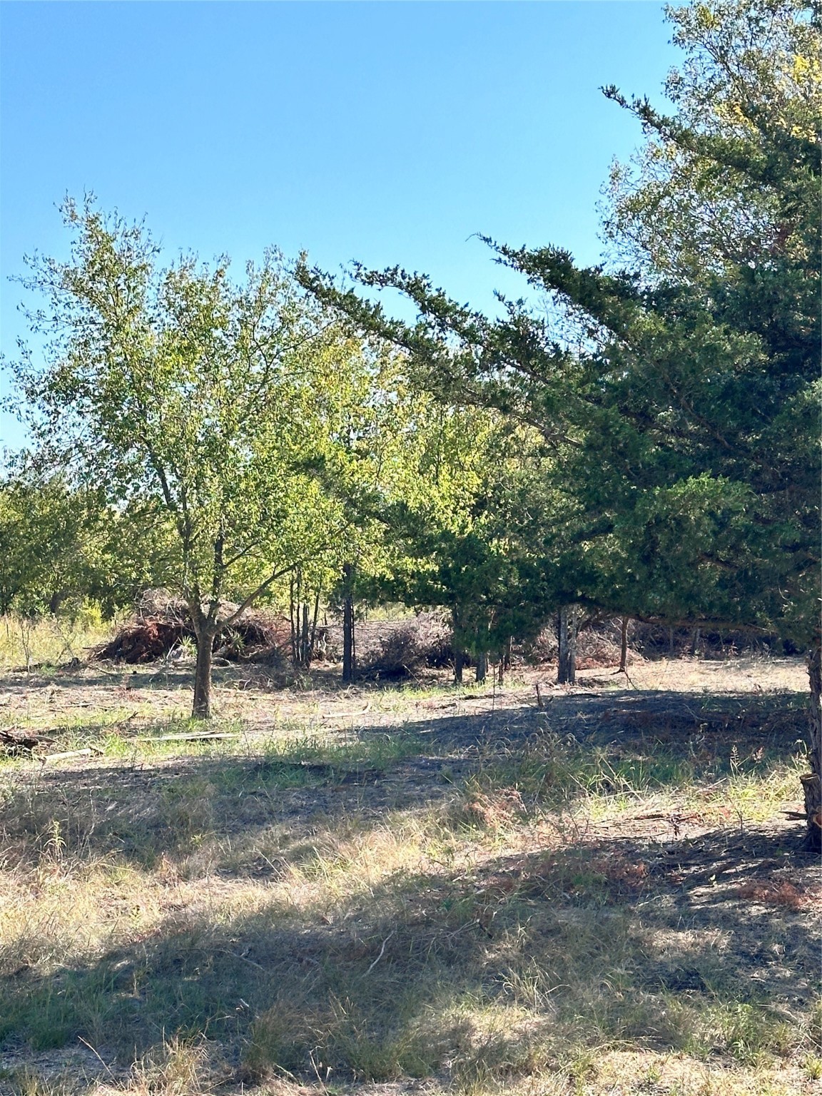 1146 County Road 2175 Klondike TX 75448
