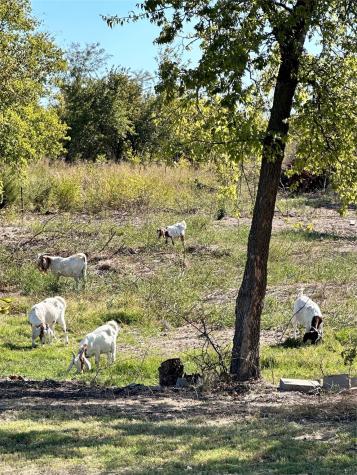1146 County Road 2175 Klondike TX 75448