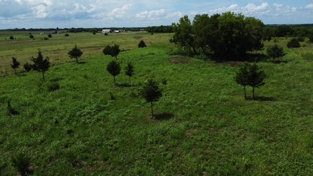 1146 County Road 2175 Klondike TX 75448