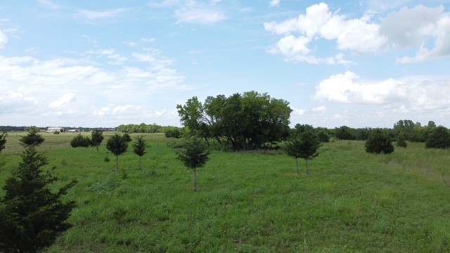 1146 County Road 2175 Klondike TX 75448