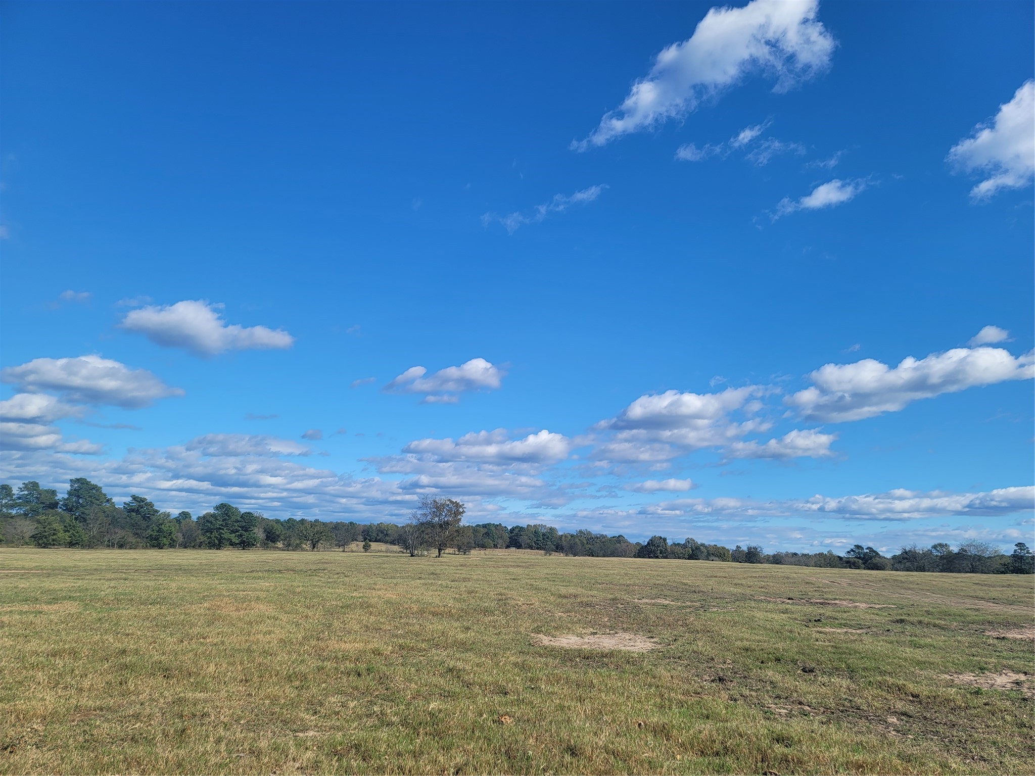 12403 Fm 1975 Gilmer TX 75644