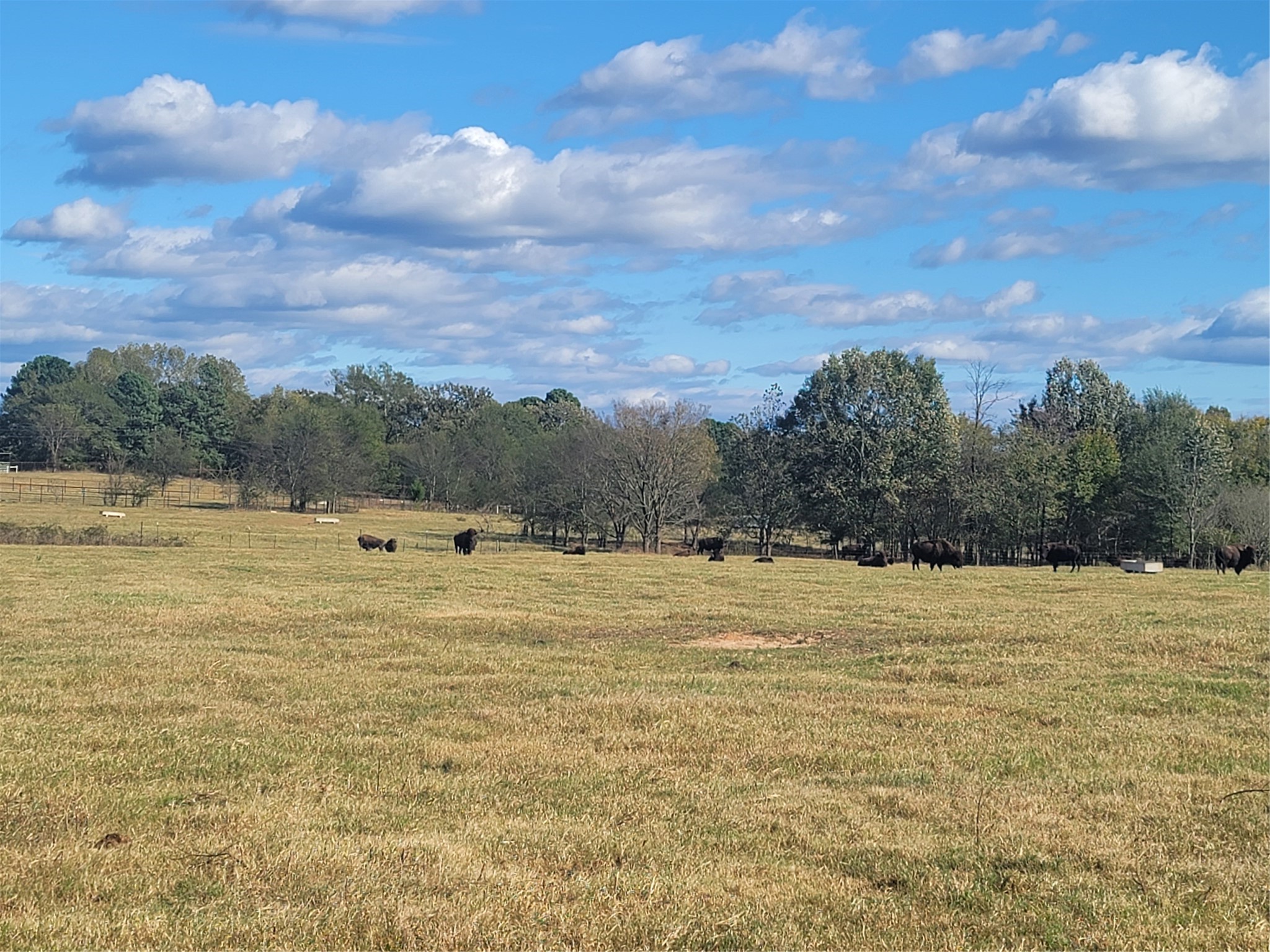 12403 Fm 1975 Gilmer TX 75644