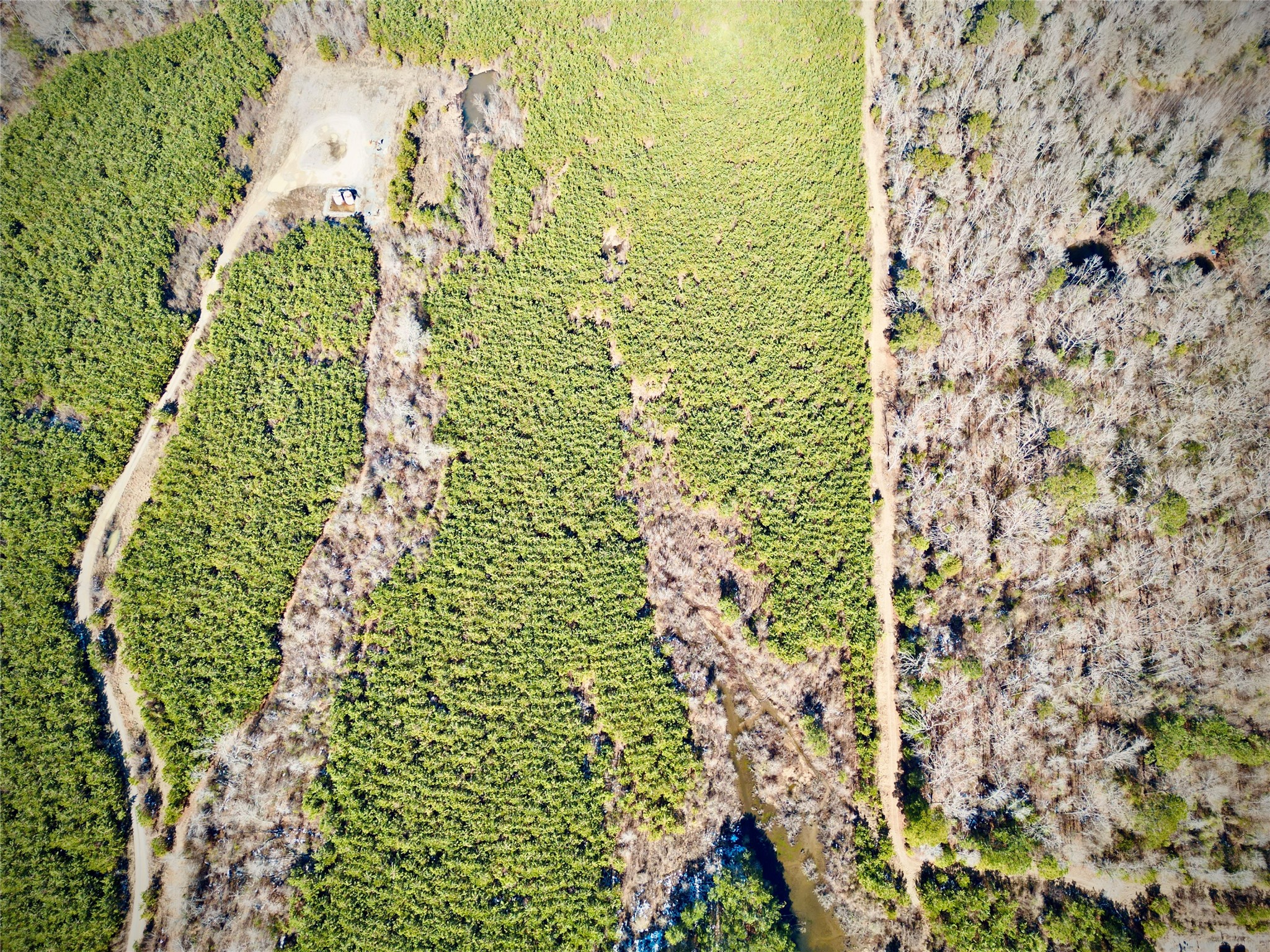 0 Stonewall Frierson Road Frierson LA 71027