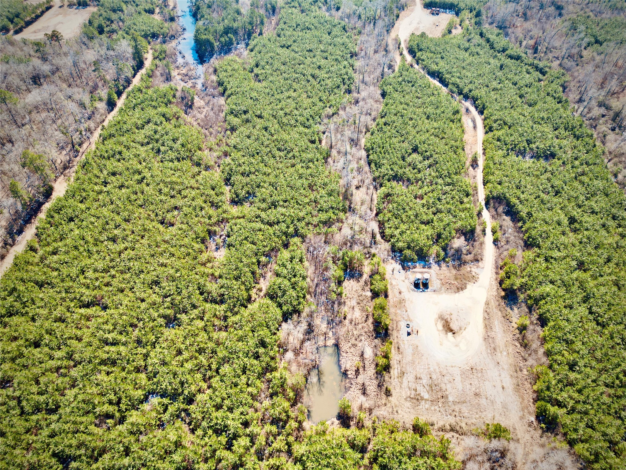 0 Stonewall Frierson Road Frierson LA 71027
