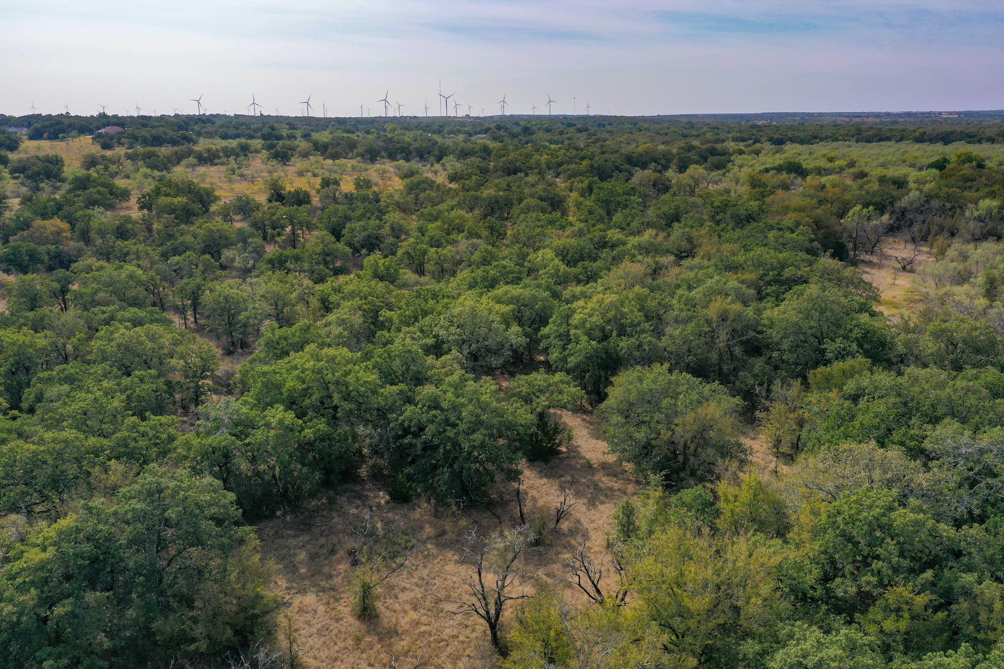 524 Malone Lane Jacksboro TX 76458