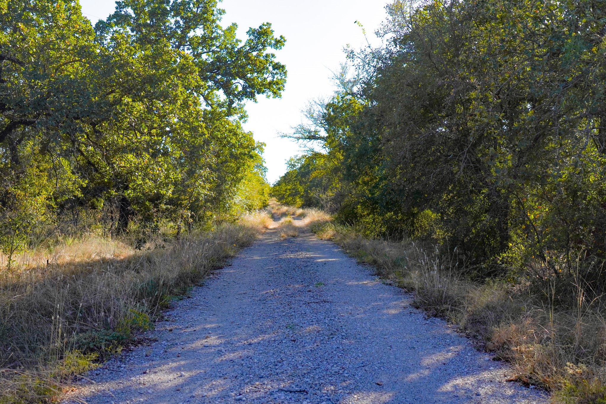 524 Malone Lane Jacksboro TX 76458