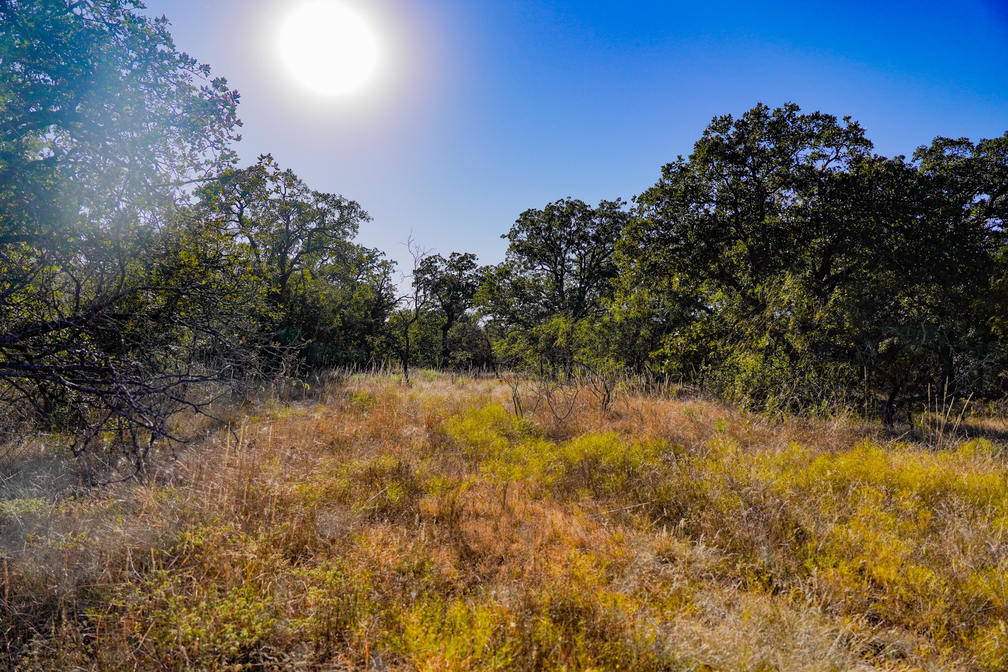 524 Malone Lane Jacksboro TX 76458
