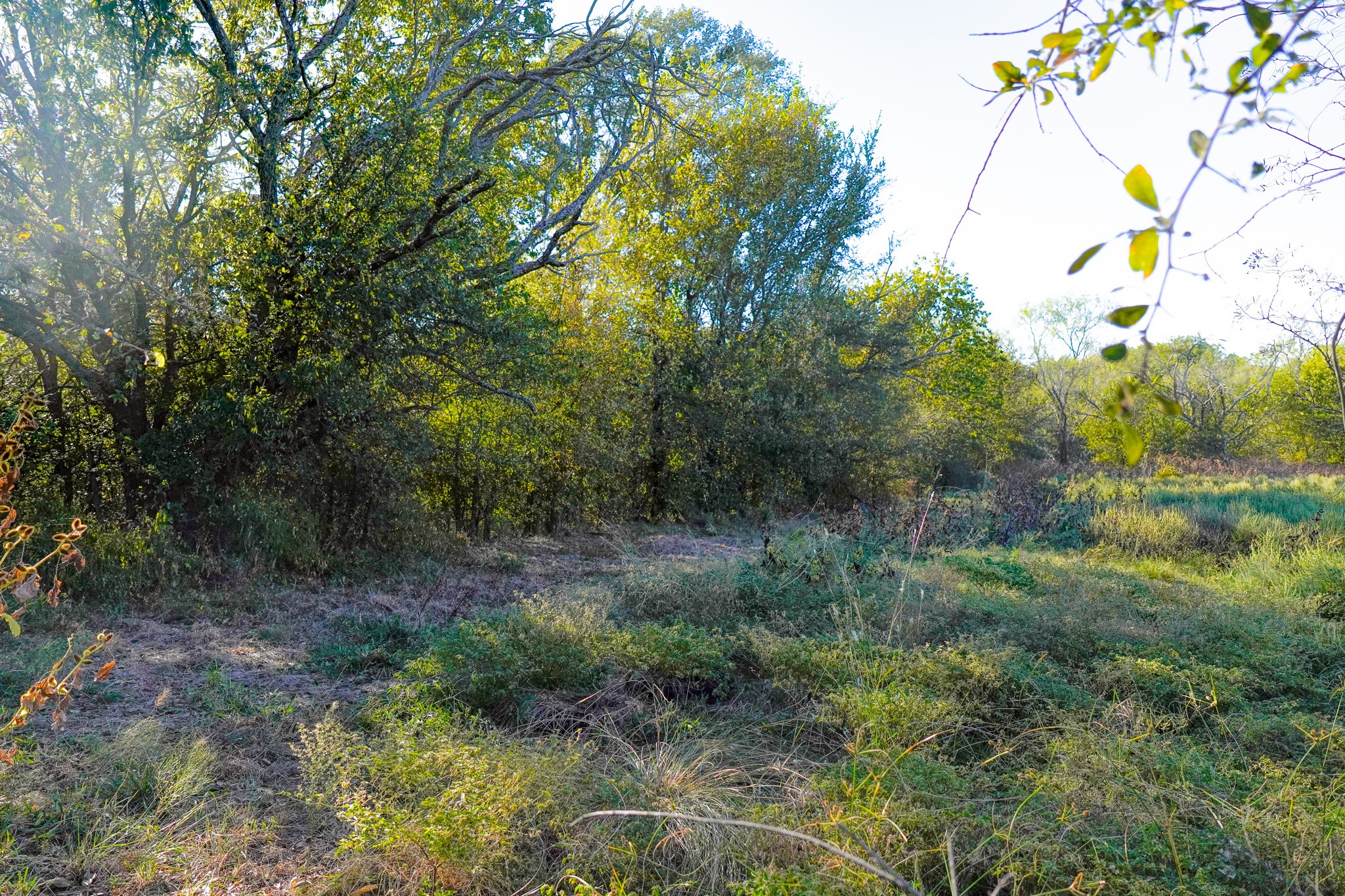 524 Malone Lane Jacksboro TX 76458
