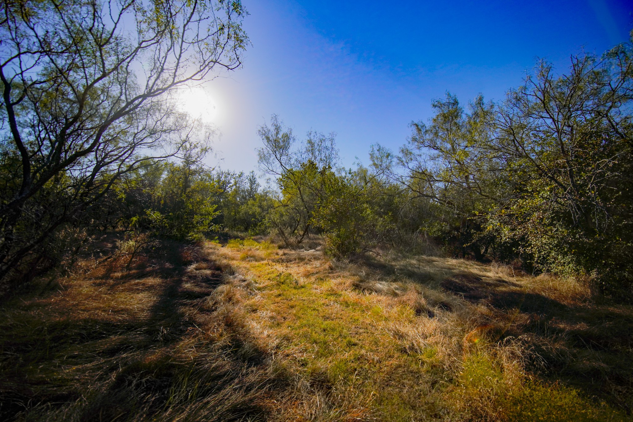 524 Malone Lane Jacksboro TX 76458