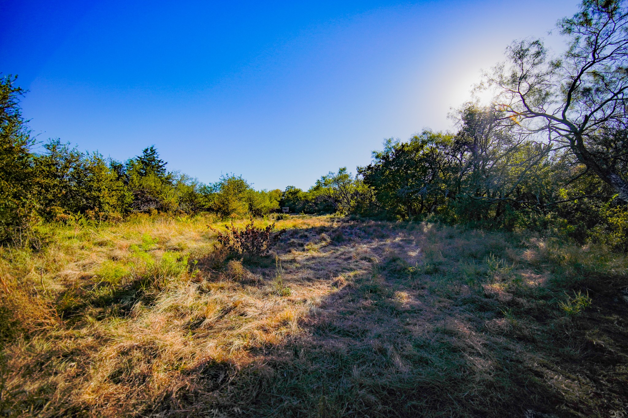 524 Malone Lane Jacksboro TX 76458